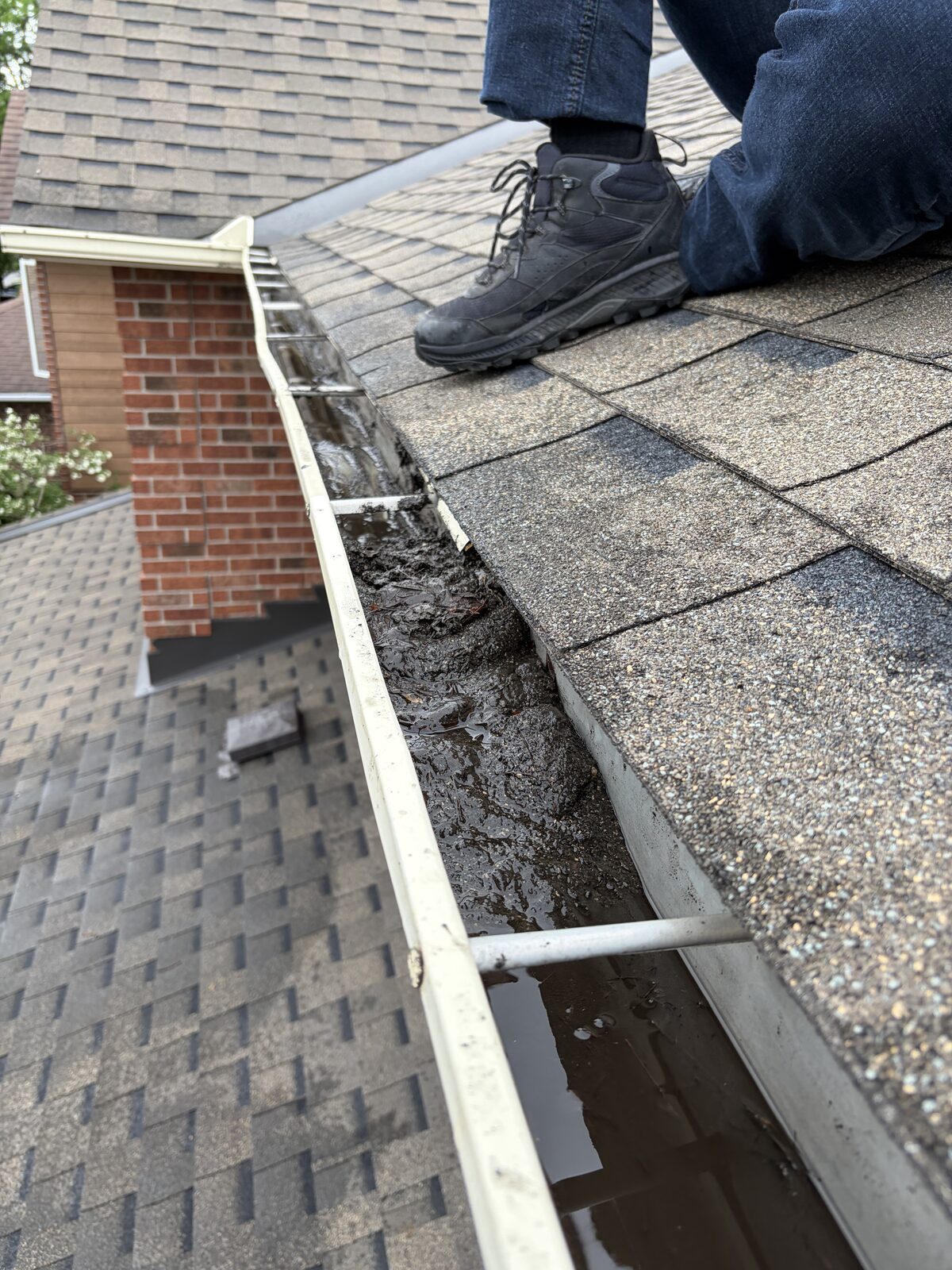 Gutter packed with wet, compacted debris and standing water before cleaning