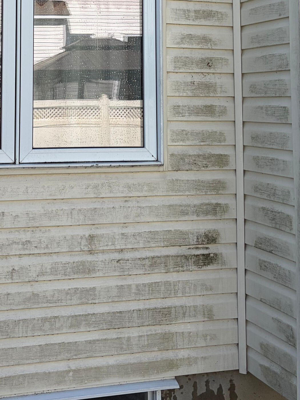 Cream vinyl siding on an Ottawa home streaked grey and green with algae and grime before washing